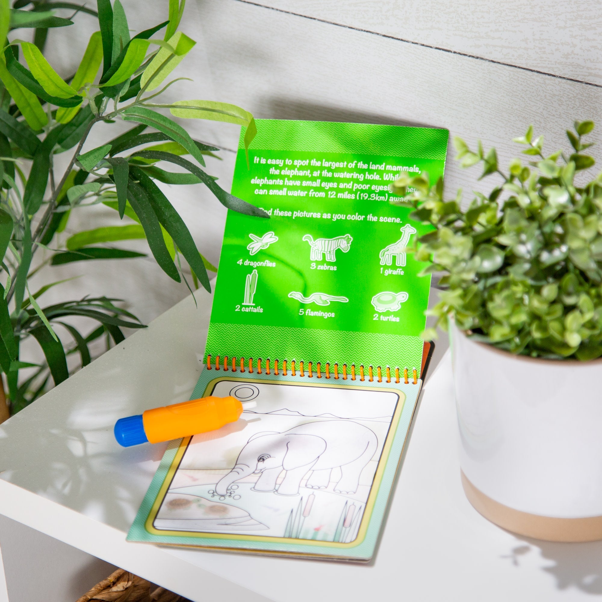 Water Wow! Water-Reveal Pad – Safari
