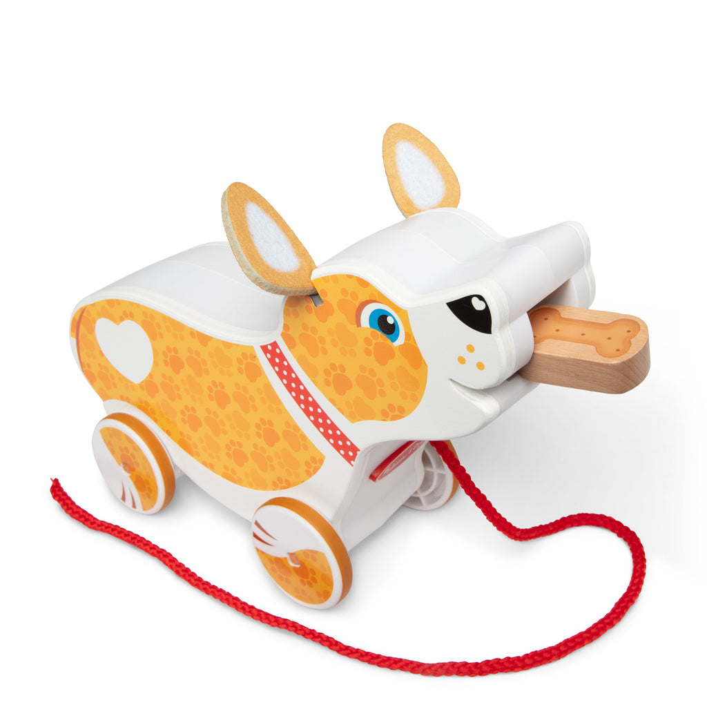Feed. Walk & Poo Pup Play Set