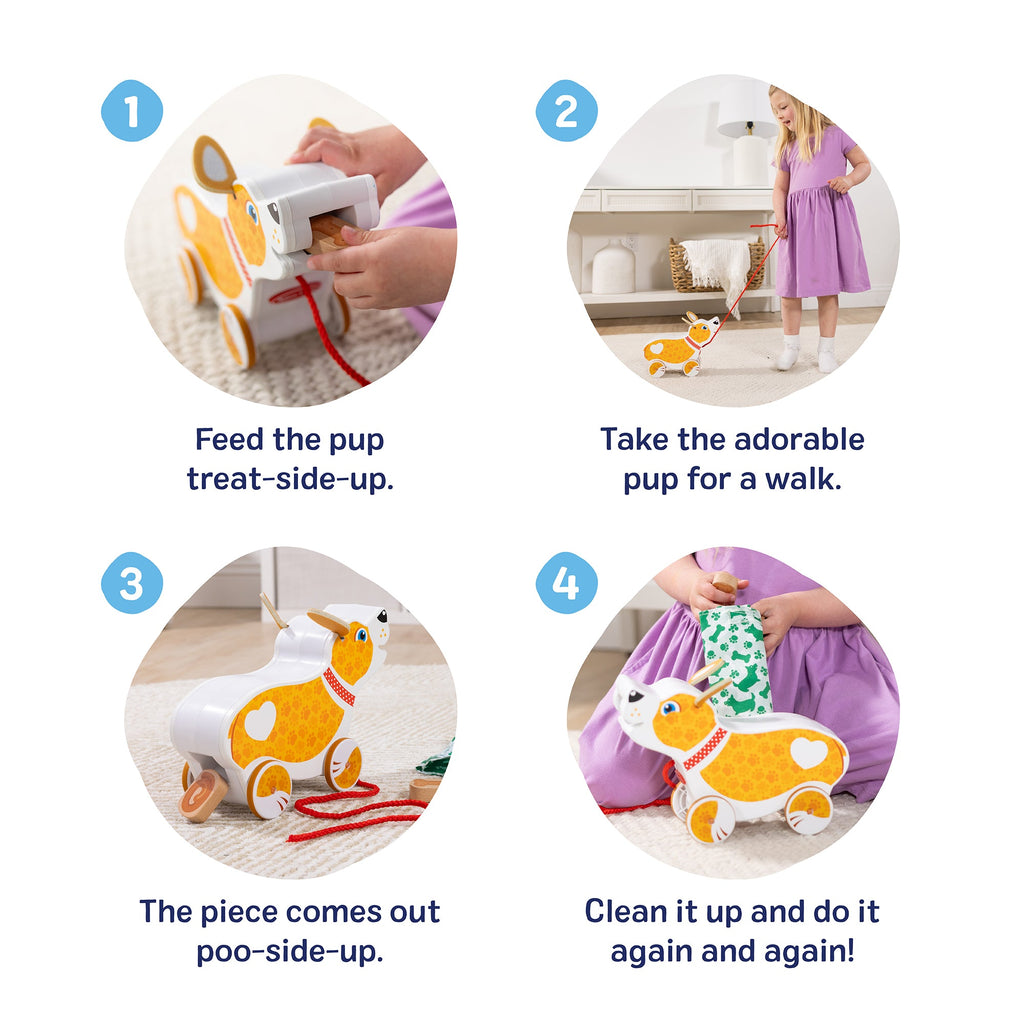 Feed. Walk & Poo Pup Play Set
